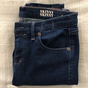 Madewell 28 Skinny Dark Wash Jeans